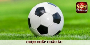 So sánh những điểm nổi bật của các loại kèo Châu Âu, Châu Á và cược tỷ số
